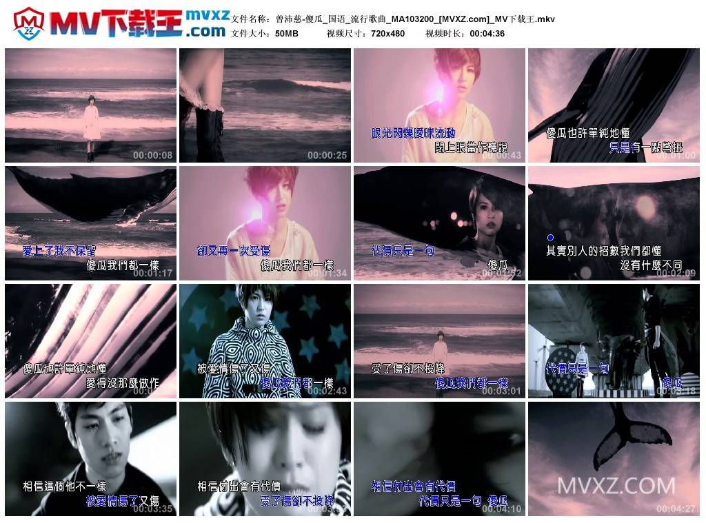 曾沛慈-傻瓜_国语_流行歌曲_MA103200